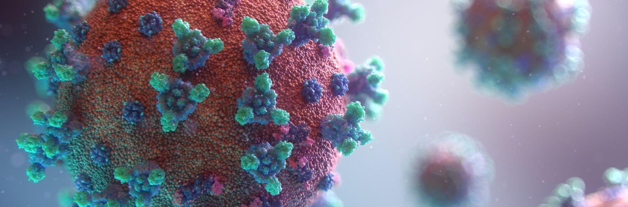 artist's rendering of the coronavirus